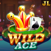 Wild Ace jl pub game